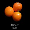 Tomate kaki orange