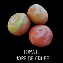 Tomate noire de Crimée