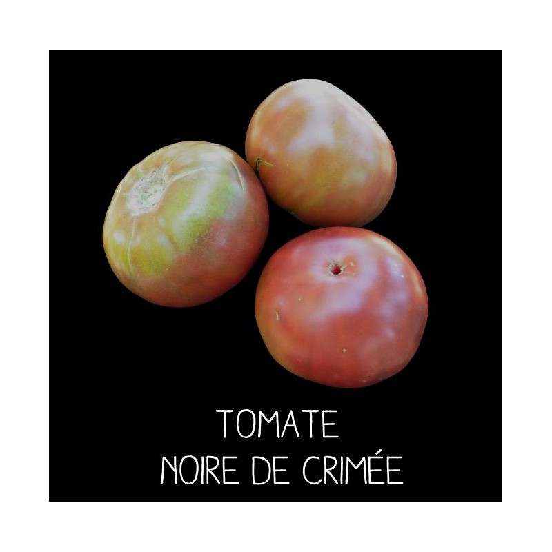 Tomate noire de Crimée