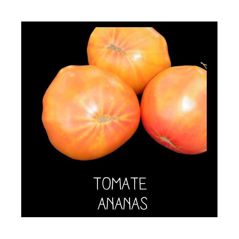 Tomate Ananas