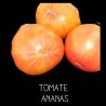 Tomate Ananas