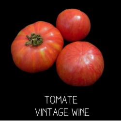 Tomate Vintage wine