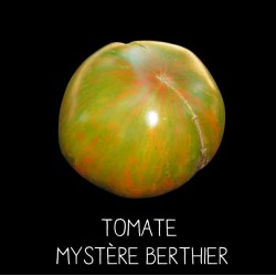 Tomate Mystère Berthier