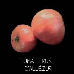 Tomate Rose d'Aljezur