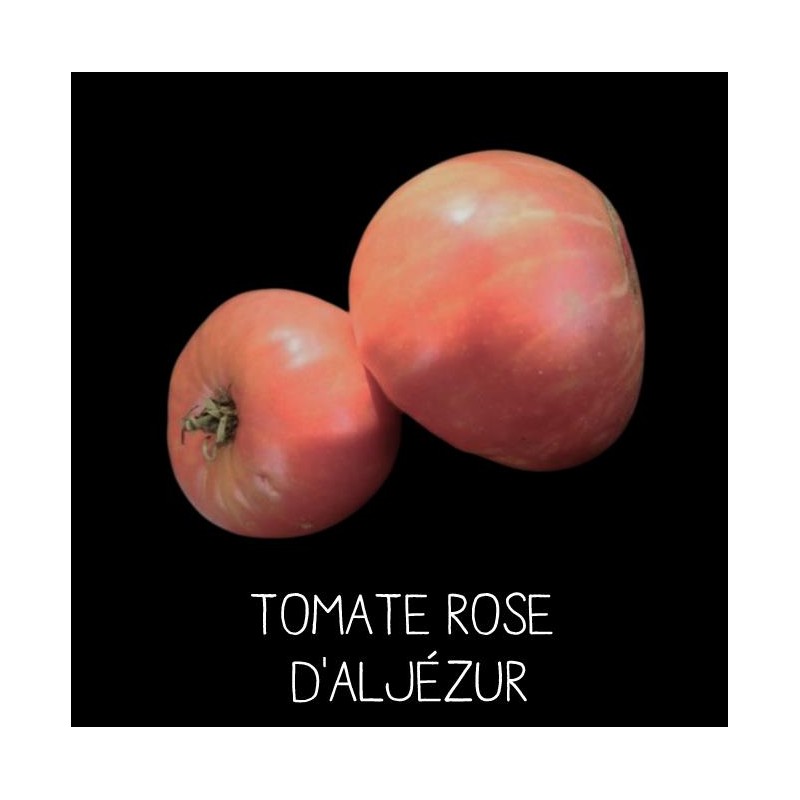 Tomate Rose d'Aljezur