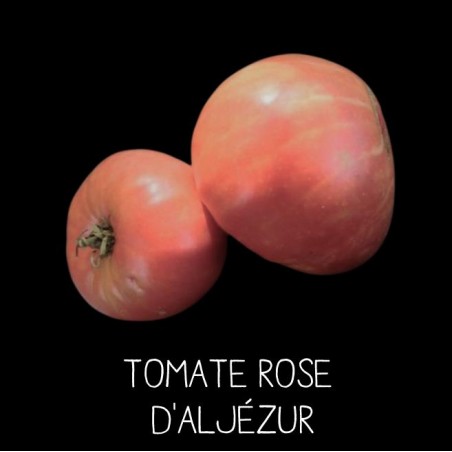 Tomate Rose d'Aljezur
