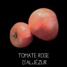Tomate Rose d'Aljezur