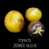 Tomate Bleue Zébrée