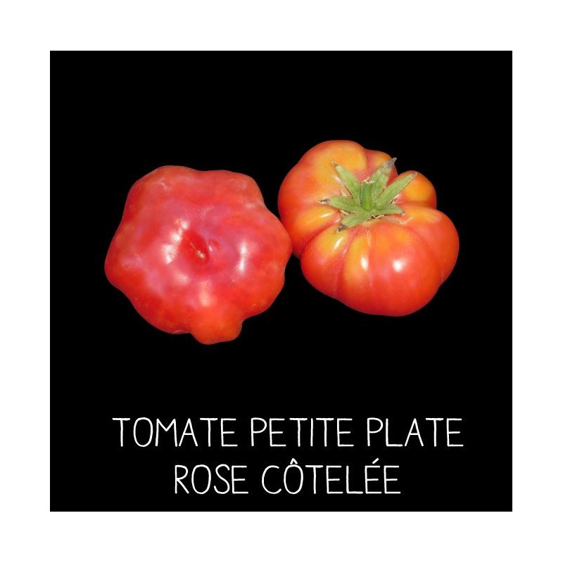 Tomate petite plate rose côtelée