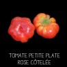 Tomate petite plate rose côtelée