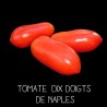 Tomate dix doigts de Naples
