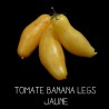 Tomate banana legs jaune