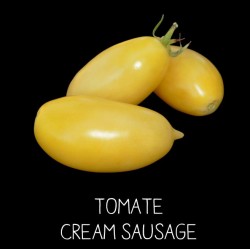 Tomate cream sausage