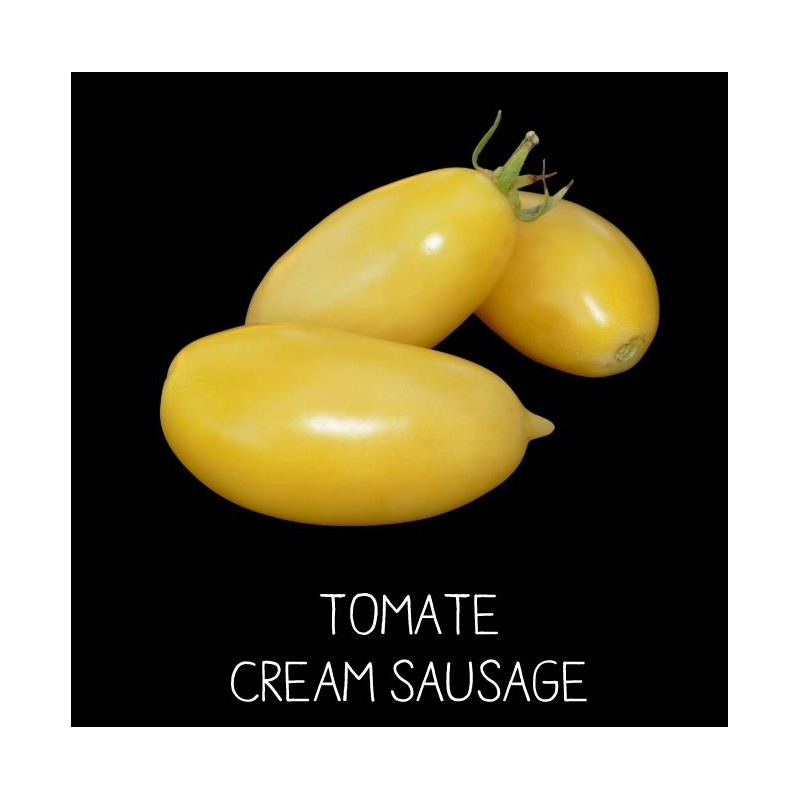 Tomate cream sausage