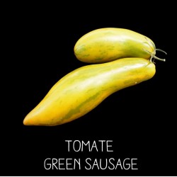Tomate green sausage
