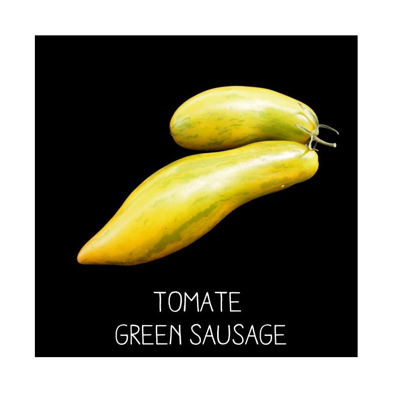 Tomate green sausage