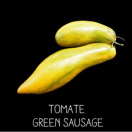 Tomate green sausage