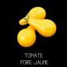 Tomate poire jaune