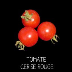 Tomate cerise rouge