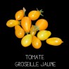 Tomate groseille jaune