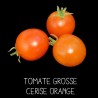 Tomate grosse cerise orange