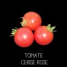 Tomate cerise rose