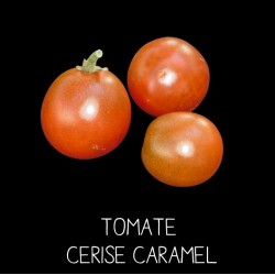 Tomate cerise caramel