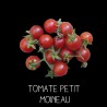 Tomate Petit Moineau