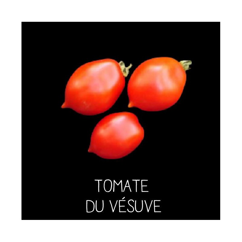 Tomate du Vésuve