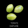Tomate diaphane