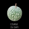 Courge du Siam - CUCURBITA MELANOSPERMA