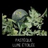 Pastèque lune étoilée - CITRULLUS L ANATUS