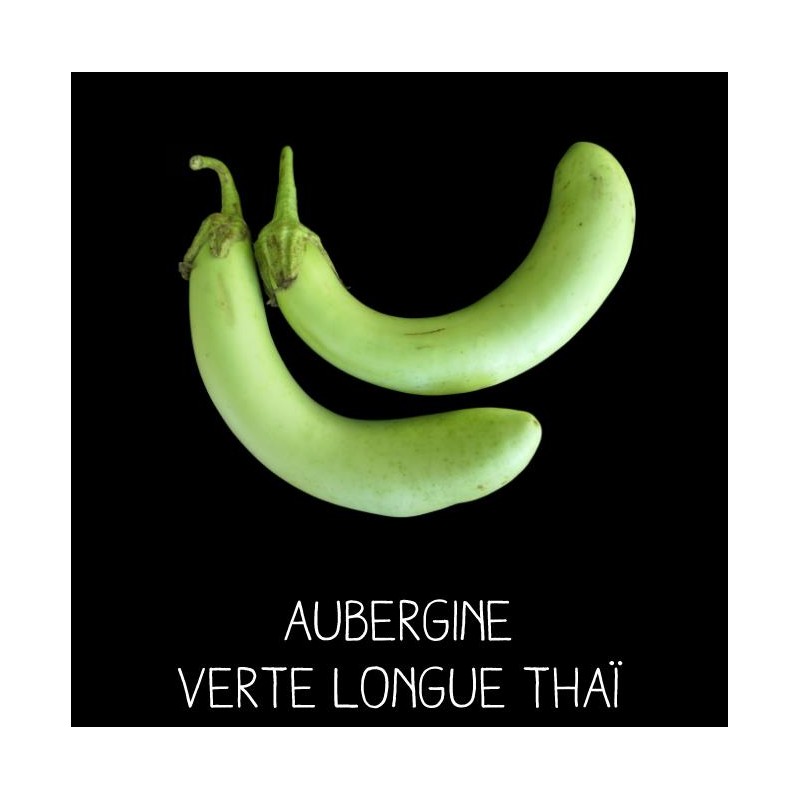 Aubergines verte longue de Thaïlande