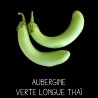 Aubergines verte longue de Thaïlande