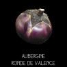 Aubergine Ronde de Valence