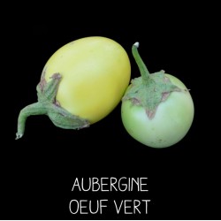 Aubergine œuf vert