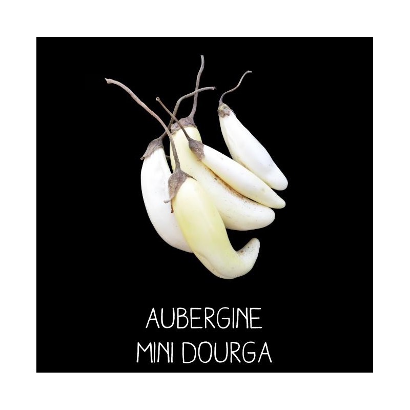 Aubergine mini dourga blanche