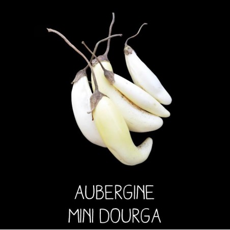 Aubergine mini dourga blanche