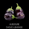 Aubergine Daoud Libanaise