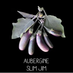 Aubergine Slim Jim