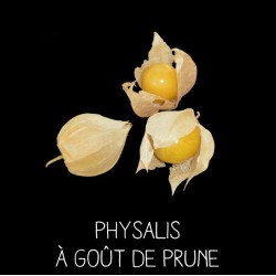 Physalis à goût de prune