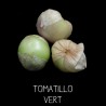 Physalis du Mexique - tomatillo vert